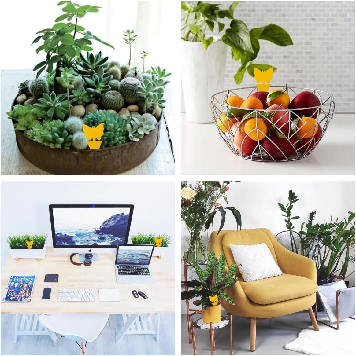 60 Pièces Pièges à Insectes Jaunes Anti Moucherons - Attrape-Mouches Englués Pour Plantes D'Intérieur Et Extérieur