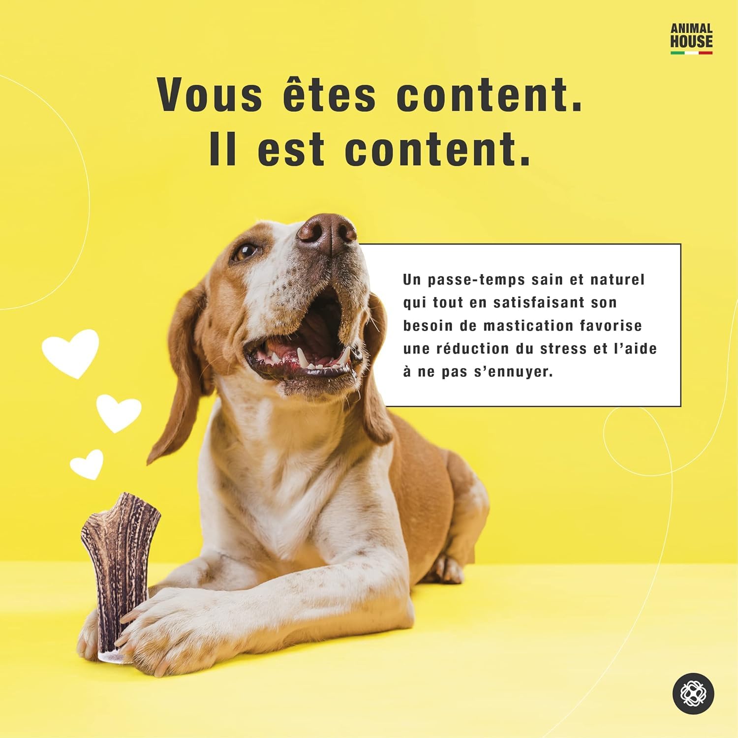 Animal House 4 pièces de Bois de cerf Entier pour Chien, à mâcher 100% Naturel, renforce l'hygiène bucco-Dentaire, résistant et Durable, Disponible dans Toutes Les Tailles (4, S)