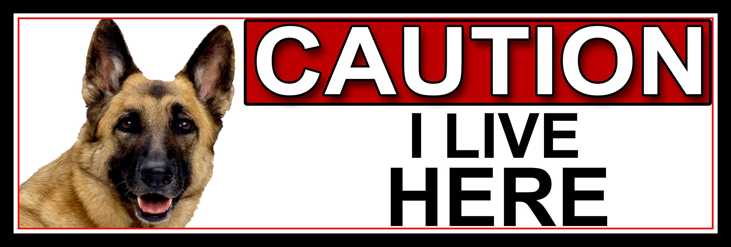 German Shepherd CAUTION I LIVE HERE METAL GATE SIGN 266mm x 87m. (659H2)