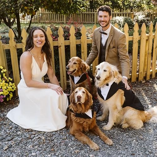 Miniatura 9 de Juego de esmoquin y bandana para perro, paquete de 2 disfraces para mascotas, traje de fiesta formal para cachorros, ropa de perro para perros