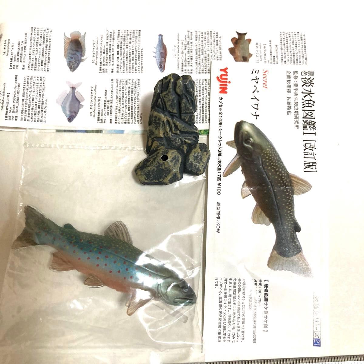全て シークレット 原色淡水魚図鑑 原色海水魚図鑑 シークレット 全て シークレット 原色淡水魚図鑑 原色海水魚図鑑 シークレット