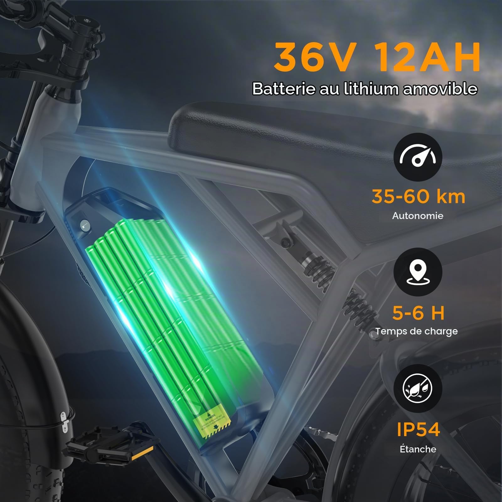COLORWAYVélo Électrique Adulte Homme 20 Pouces Fat Tire 250W, EBike Homme Puissant Tout Terrain,Pedelec 36V/48V avec Batterie Amovible Grande Autonomie,Double Frein à Disque et Écran LCD Intelligent