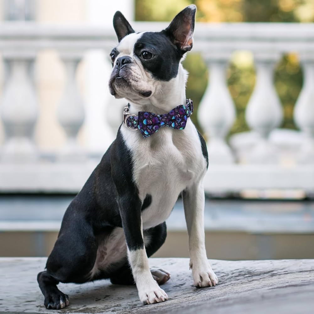 3 Packs Adjustable Dog Collars With Puppy Buckle, Patterned For Small Medium Large Dogs M