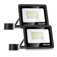 Realky 30W Faretto Led da Esterno 2 Pezzi, Potenti Faretti Led Esterni 3000LM