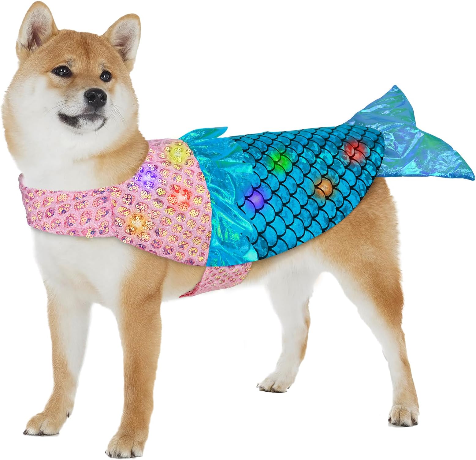 Amazon.com : Petitebella Mini Mermaid Shell Puppy Dog Dress (White ...