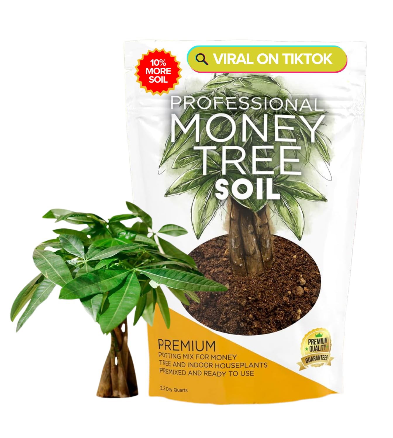 Leaves and Soul Professional Money Tree Soil Mix