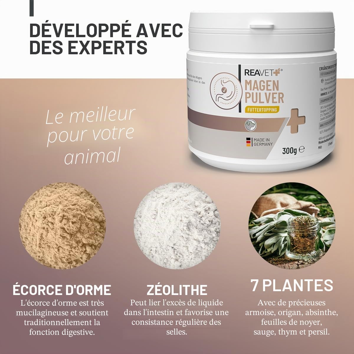 ReaVET Poudre d'estomac de qualité supérieure pour chiens - 300 g - Poudre de garniture alimentaire gastrique et intestinale avec écorce d'orme Slippery Elm Bark sans ébullition I Favorise la