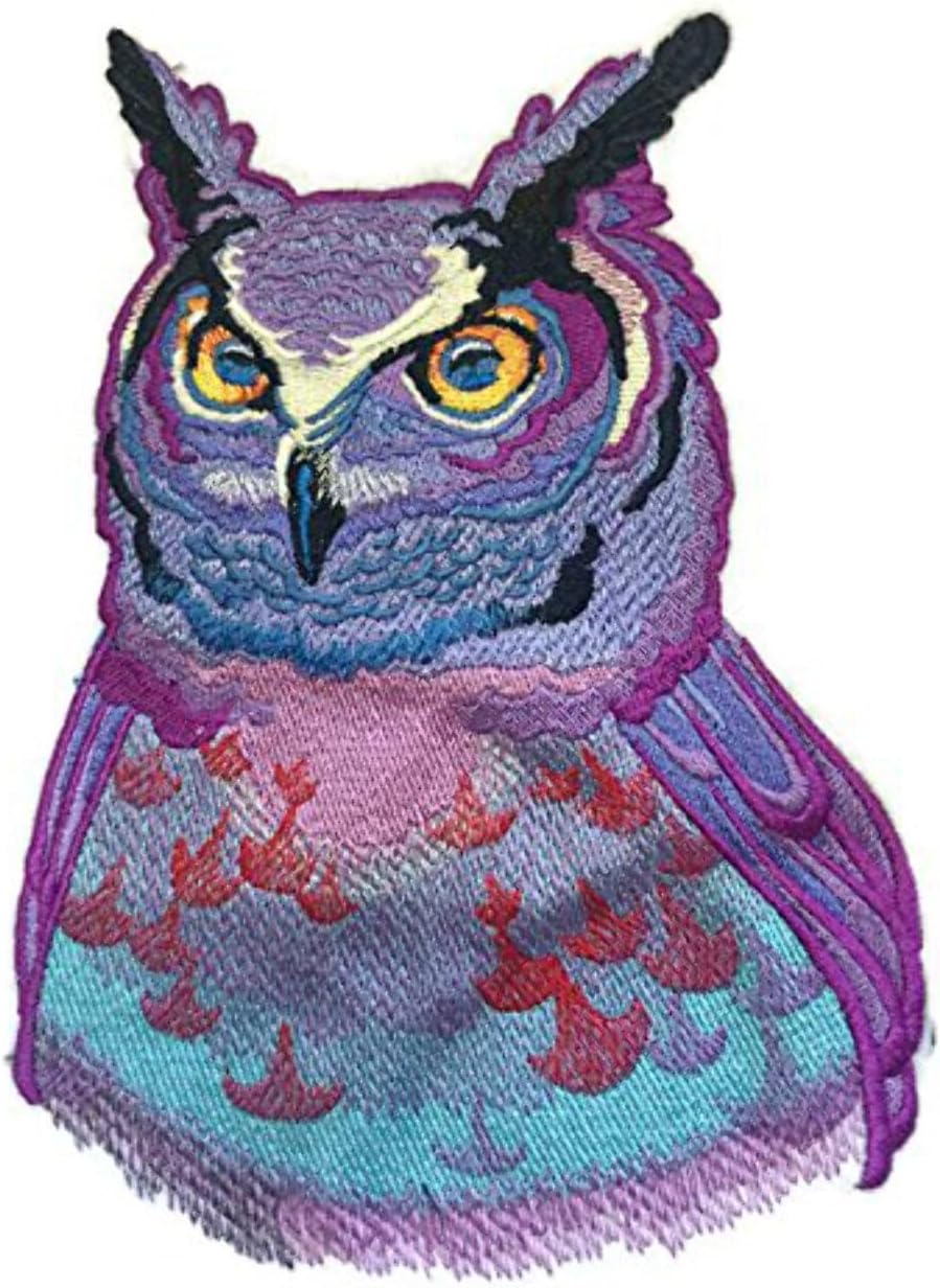 Nature Weaved in Threads, Amazing Birds [Sunset Owll [Custom and Unique] Embroidered Iron on/Sew Patch [7.8" *5.53"] [Made in USA]