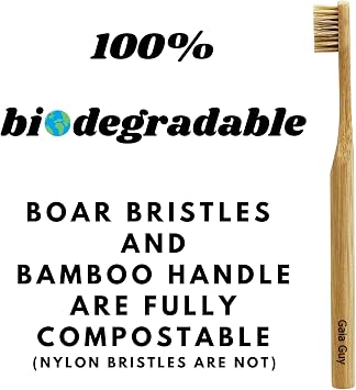 Gaia Guy - Natural Boar Bristle Bamboo Toothbrush - Compostable and Biodegradable