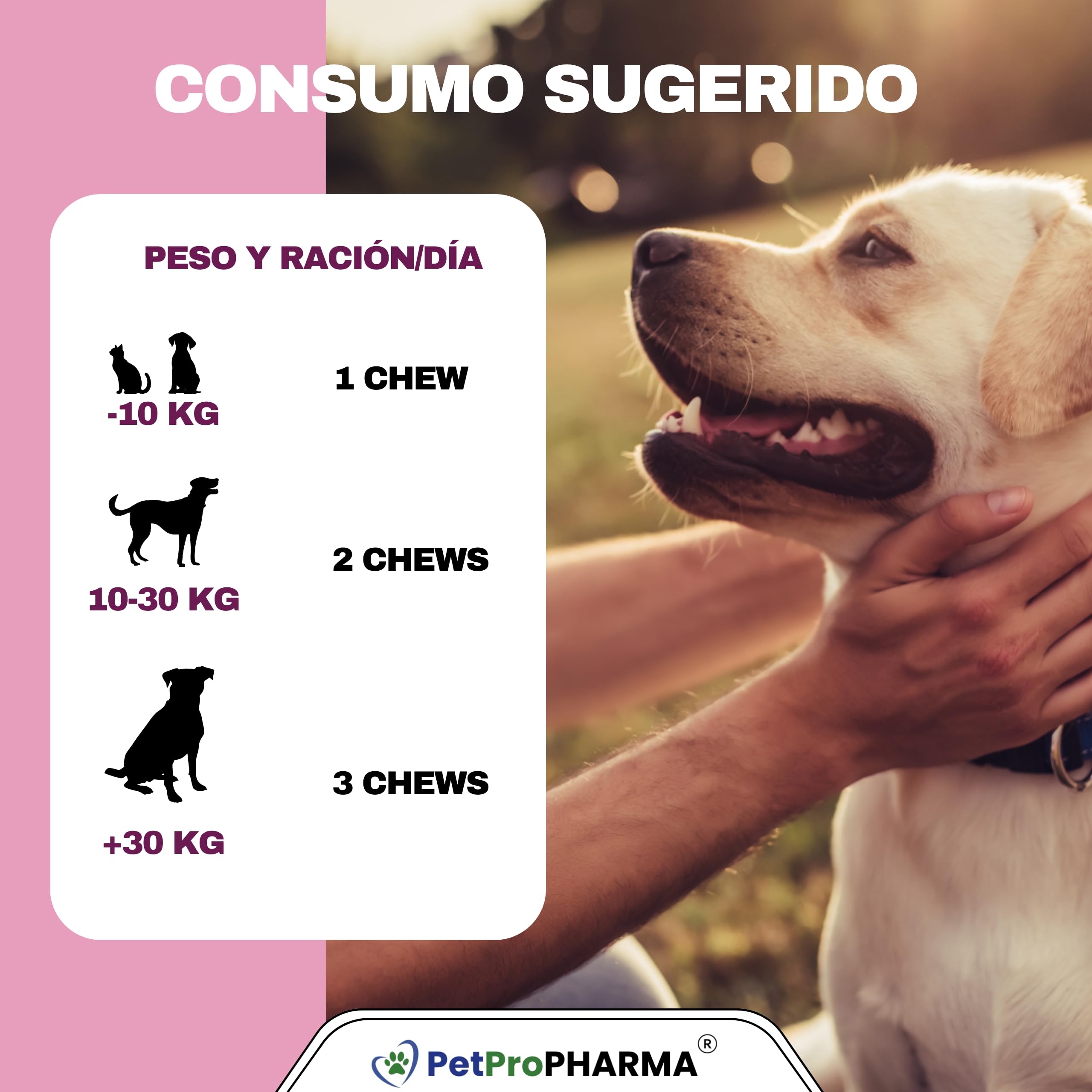 Probioticos y Prebioticos para Perros y Gatos Complemento alimenticio para Soporte digestivo y Refuerzo inmunológico Pastillas Masticables Absorcion Nutrientes y Flora intestinal 120 Galletas