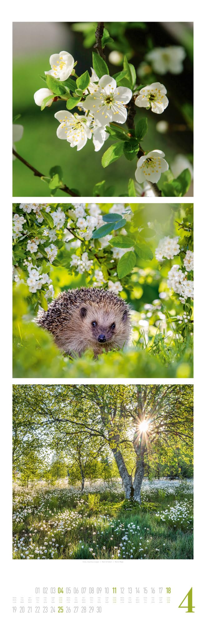 Nature Triplet-Kalender 2027 | Stilvoller Natur-Kalender im schlanken Hochformat (33x100 cm) | Triplet-Fotografie im Premium-Format