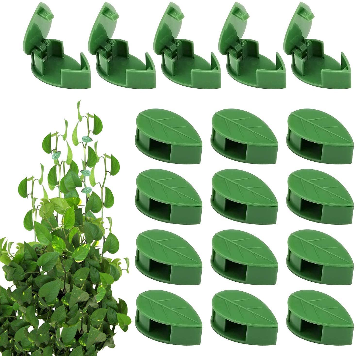 30 stuks planten klimmen wandarmatuur clips, zelfklevende plant fixer onzichtbare bladvormige wandwijnstokken bevestigingsclips zelfklevende haak plant wijnstok tractie voor huisdecoratie en kabeldraadbevestiging