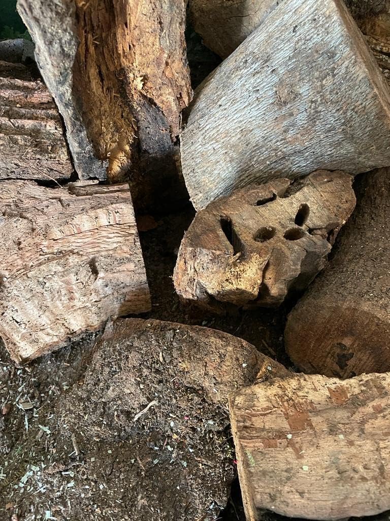 Mugar- Leña para Chimenea, Estufa o Barbacoa. Leña de Encina Tronco de leña Mediano Especial para Chimeneas, barbacoas o Estufas (Caja 30 kgs)