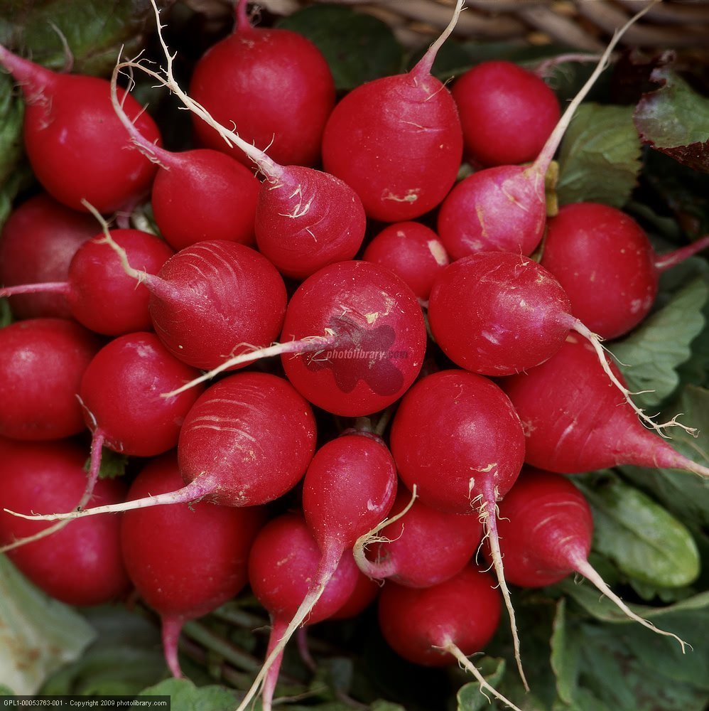 Kraft Seeds Radish Vegetable Seeds (Red, Pack of 2) (B00TPLKWPS) Amazon Price History, Amazon Price Tracker