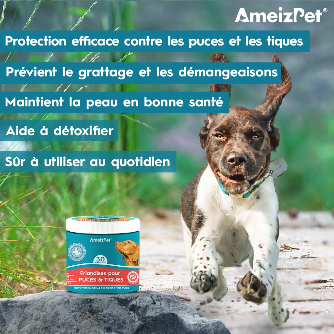 AmeizPet Cachet Chien Anti Puces Et Tiques Comprimés, Anti-Puces Chien Anti-Tique Prévention des Puces pour Chiots Et Chiens Adultes, Enzymes Digestives, 30 Friandises, 67.5g (2.3 Oz)