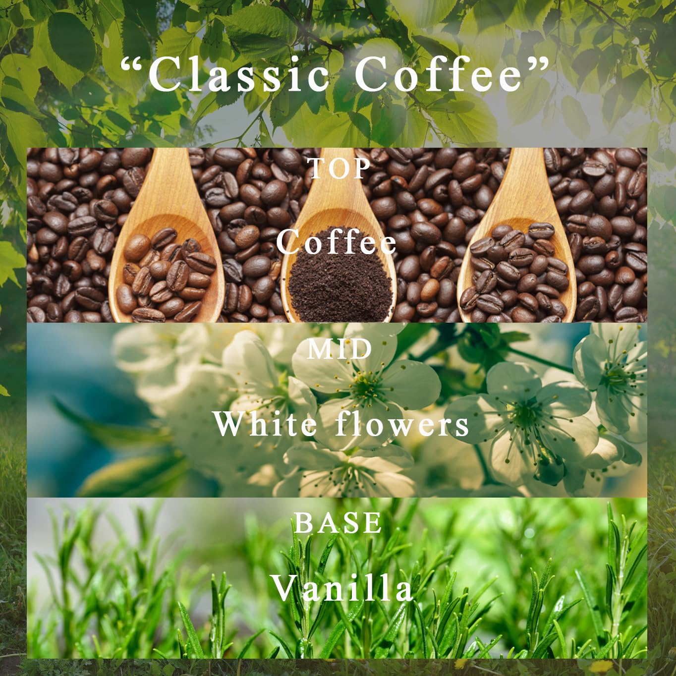 Candela Profumata ETUOLIFE In Vasetto - Cera Soia Naturale, 68 Ore, Ideale Regalo - Foto 7