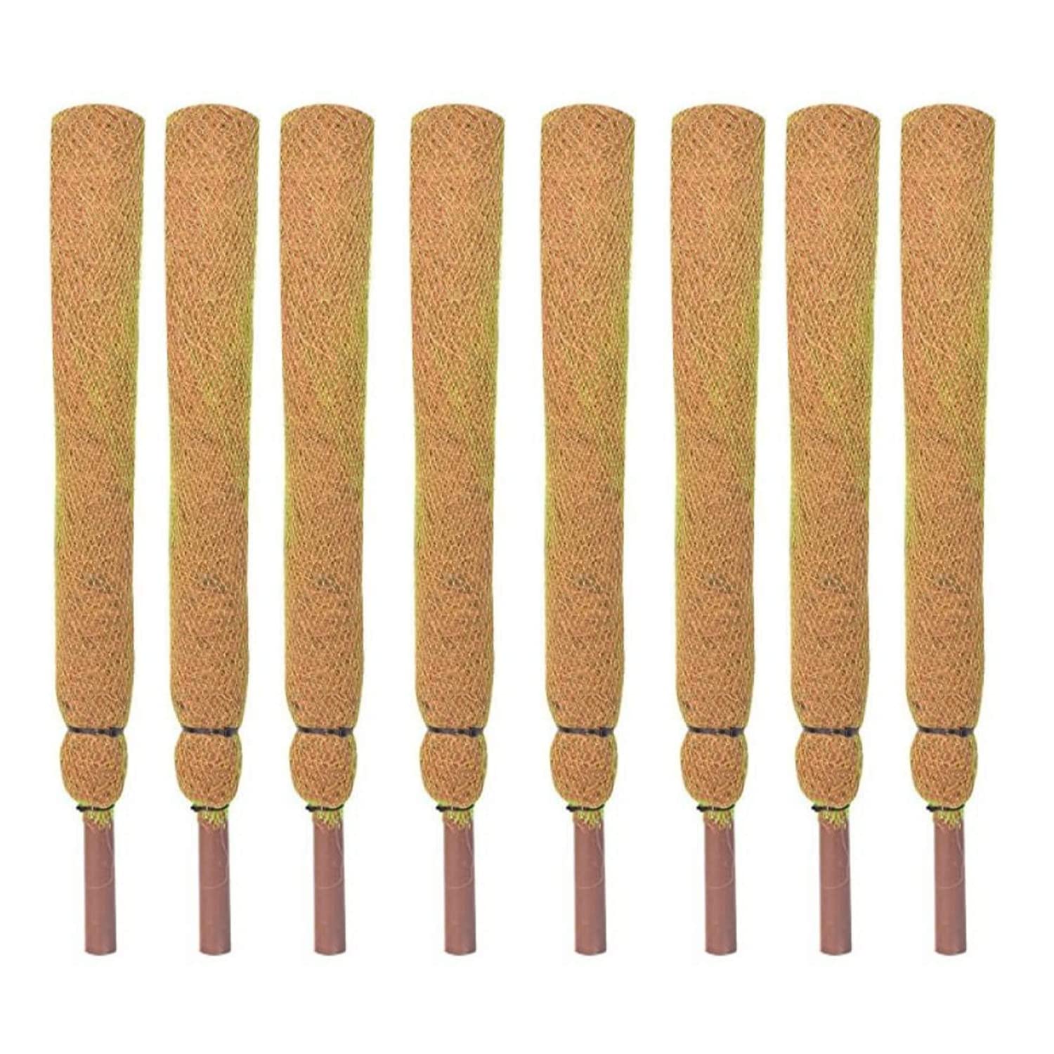 See full amazon price history chart for KURUPPATH GROUP Coir Moss Stick/Coco Pole for Climbing Indoor Plants (Pack of 8) (3 Feet) KURUPPATH GROUP Coir Moss Stick/Coco Pole for Climbing Indoor Plants (Pack of 8) (3 Feet) (B0B68BT8BV) Amazon Price History, Amazon Price Tracker