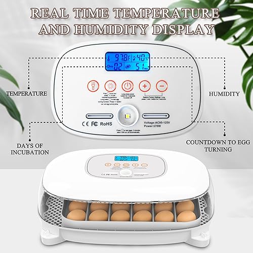 Miniatura 4 de Incubadora para incubar huevos, 24-50 huevos Máquina automática para criar aves de corral con control de humedad, torneado de huevos, vela de