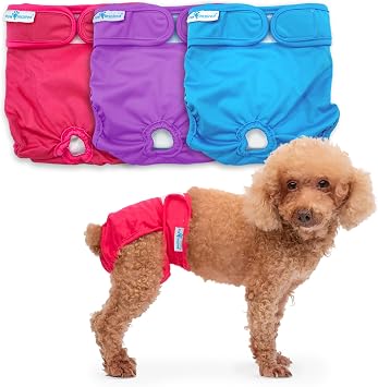 Paw Inspired Washable Dog Diapers, Assorted and White Lining, Small, 3 Pack