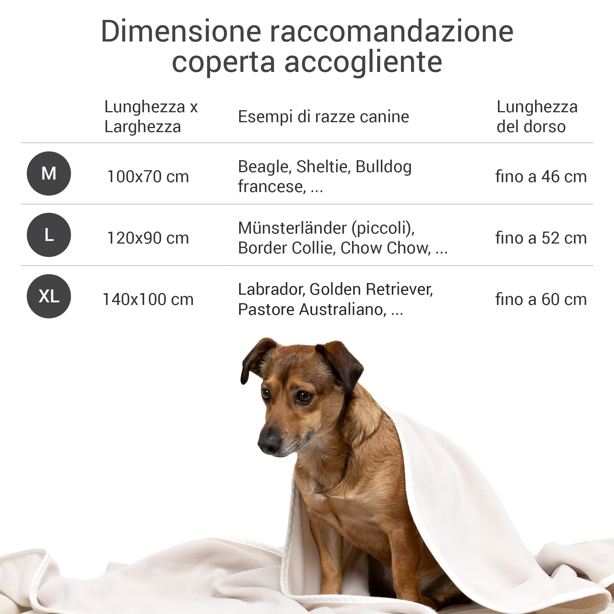 Doctor Bark Morbida coperta per cani lavabile fino a 95°C, morbida coperta in pile igienica, per divano e cuccia, morbida coperta per animali domestici – Made in Germany (lunghezza – 120 x 90 cm)