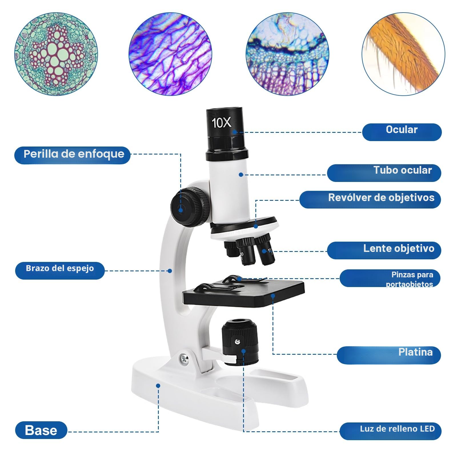 Microscopio para Niños Principiantes, 300X-1200X Microscopio Profesional con Iluminación LED y Soporte, Microscope for Kids Experimentos Científicos, Ciencia para Niños, Ccasa, Escuela, Laboratorio