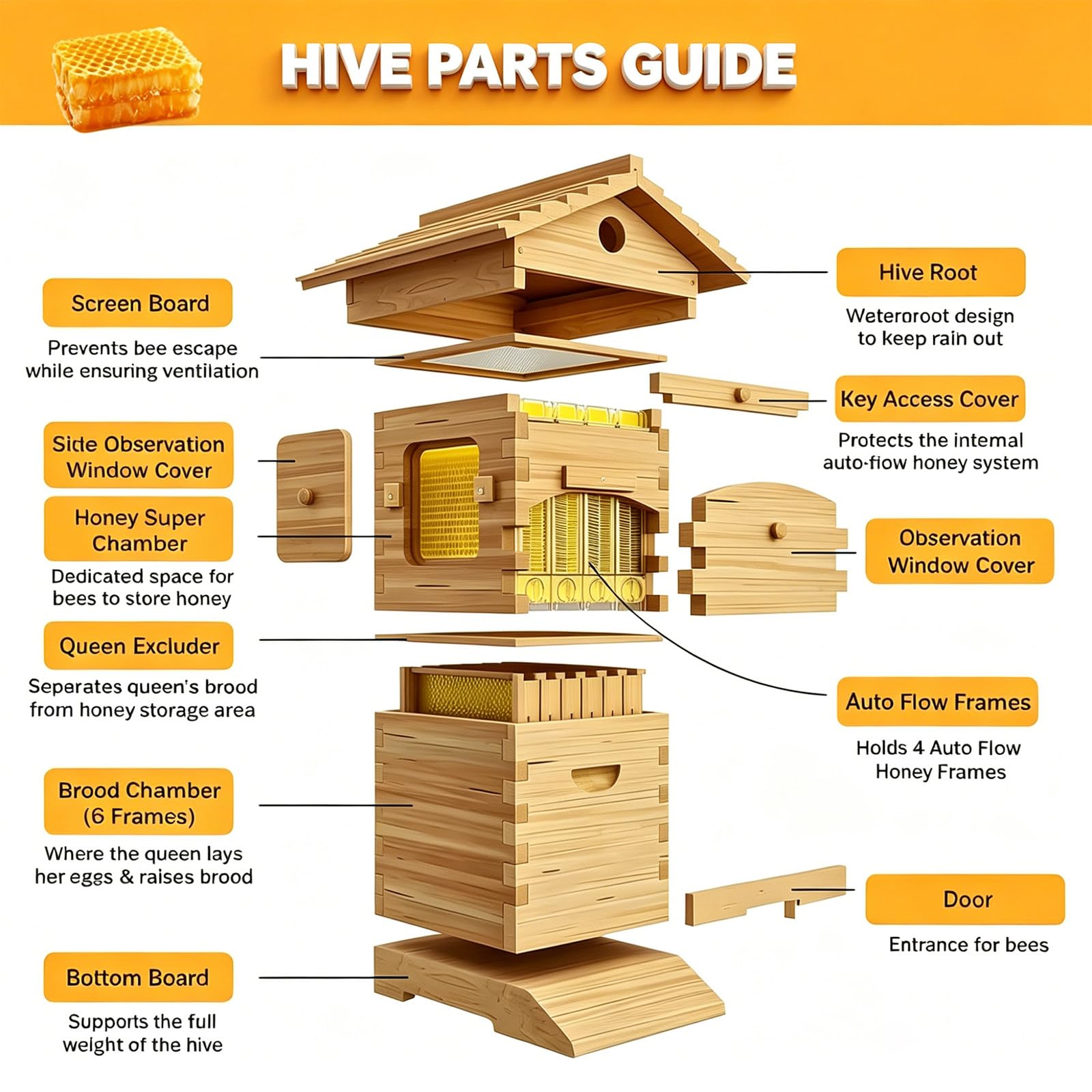 Kit Completo de Colmena de Abejas autofluyente, Modelo Mejorado, Incluye 4 Marcos y 6 bandejas de Panal. para Principiantes en Apicultura doméstica, con Ventana de observación