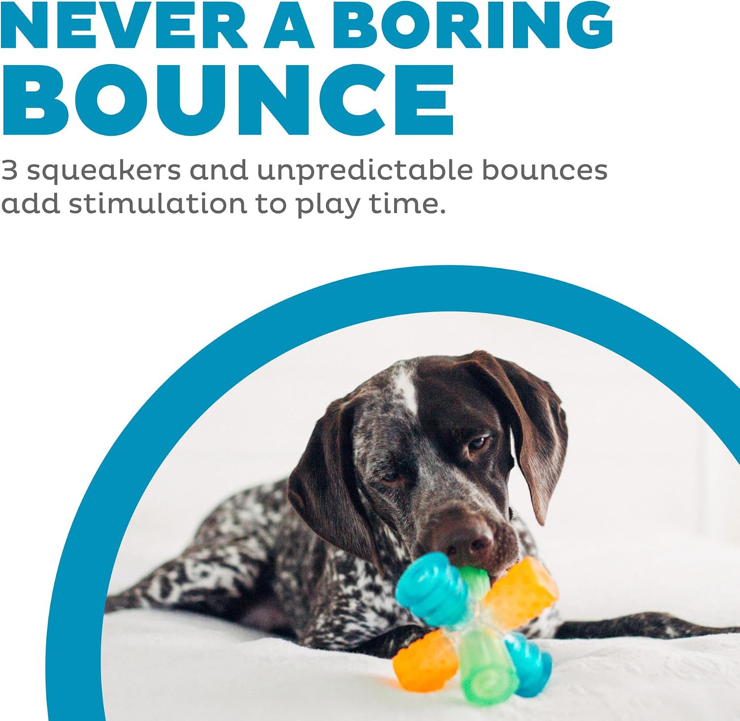 Outward Hound Triple Jack Interactive Multi-Squeak Dog Toy, 4.9"