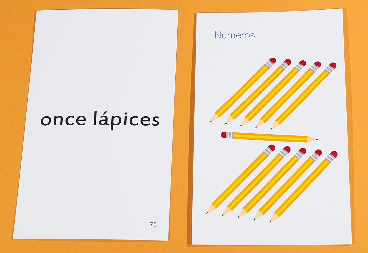 Pat's Flash Cards 192 Spanish Beginning Vocabulary Flash Cards with Original Artwork - For All Ages - Image 5