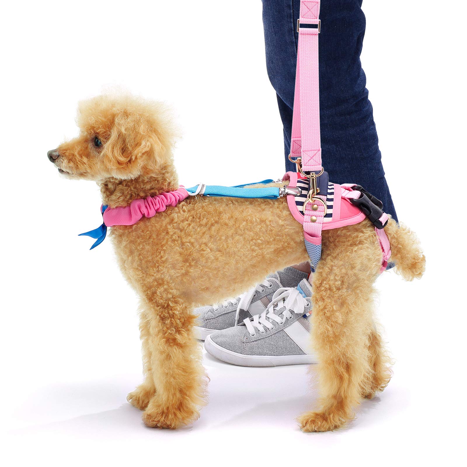 Amazon | With(ウィズ) 歩行補助ハーネスLaLaWalkホールド小型犬用