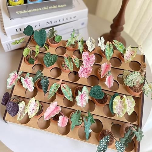 Miniatura 6 de Mini macetas de terracota Macetas pequeñas de arcilla para suculentas, cactus, manualidades de bricolaje, jardín de hadas, casa de muñecas