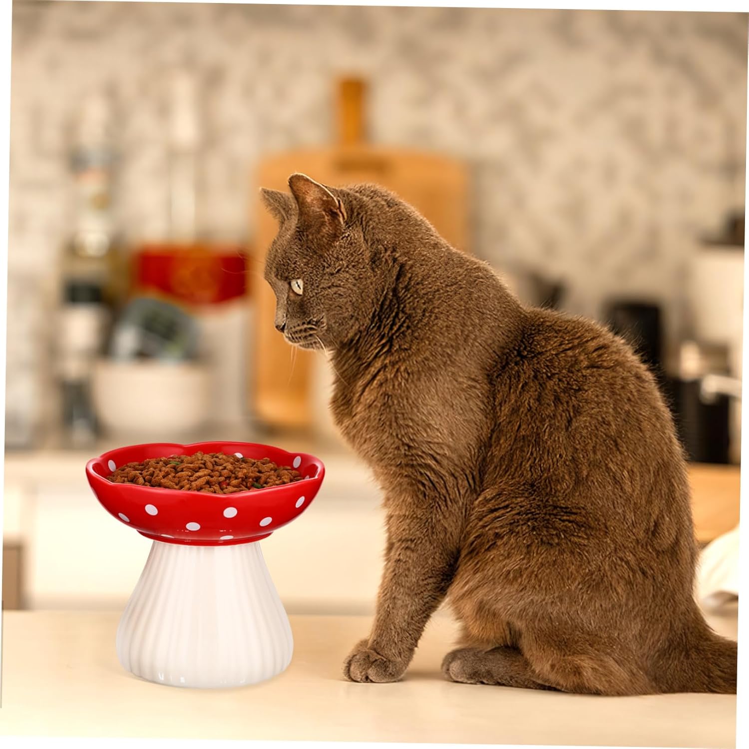 Elevated Cat Bowl Whisker Friendly Wide Raised Pet Bowl for Indoor Cats