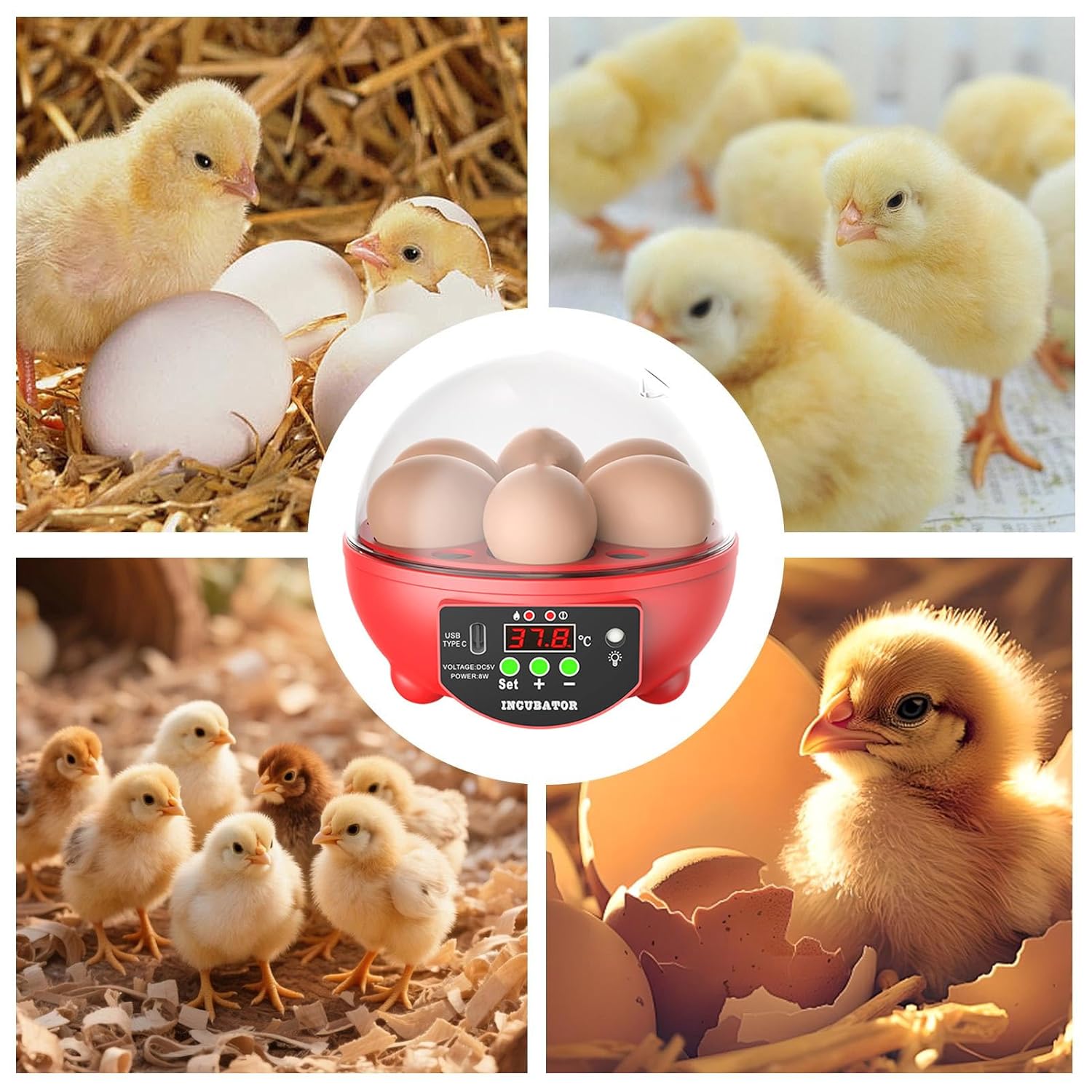 Chicken Egg Incubator 6 Slot Hatcher, Automatic Temperature Humidity Control, Poultry Egg Candler with Clear Viewing, Farm Breeding Machine for Chicken Duck Quail Bird, in Small Poultry Equipment