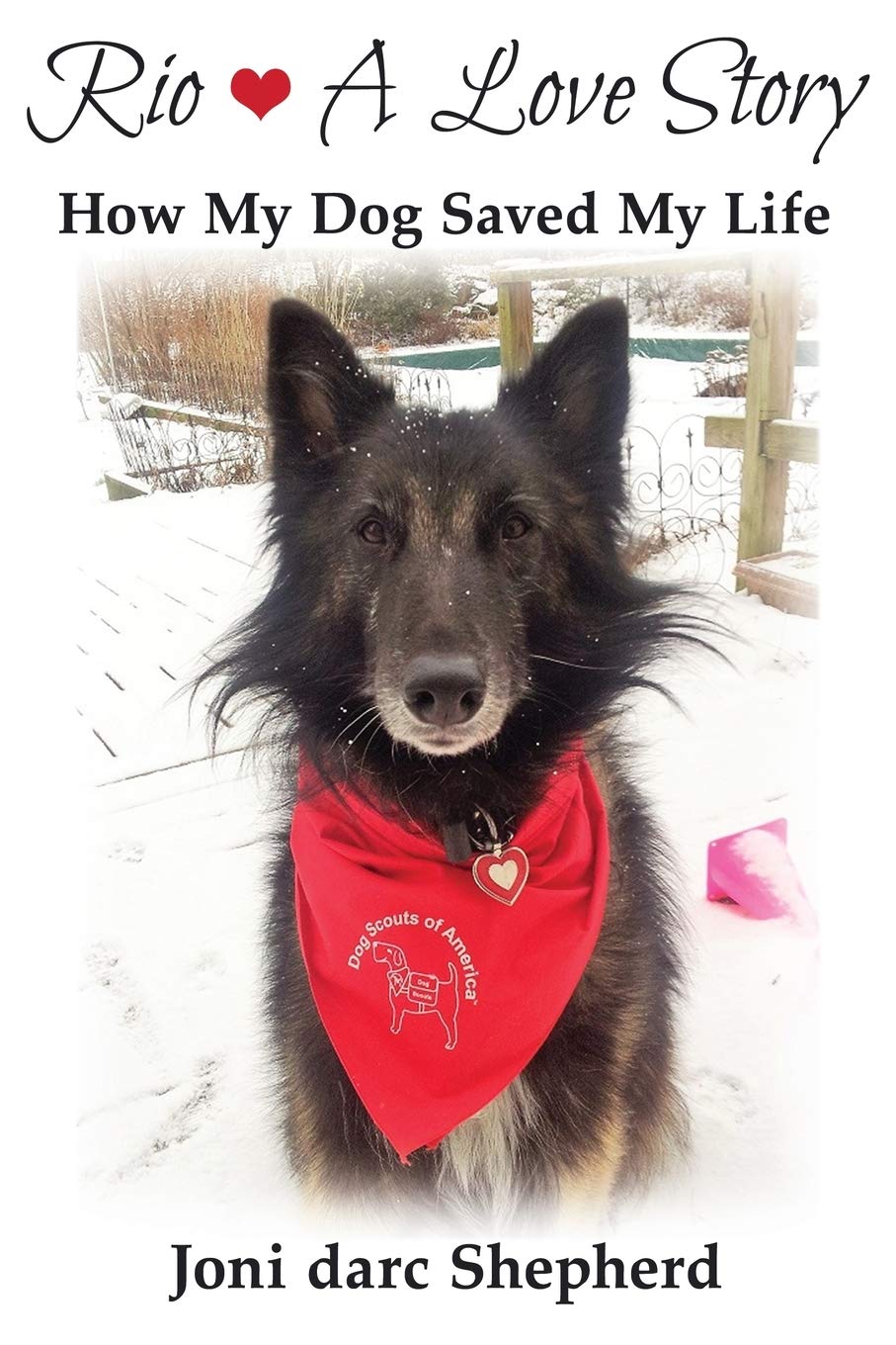 Rio A Love Story How My Dog Saved My Life Joni darc Shepherd