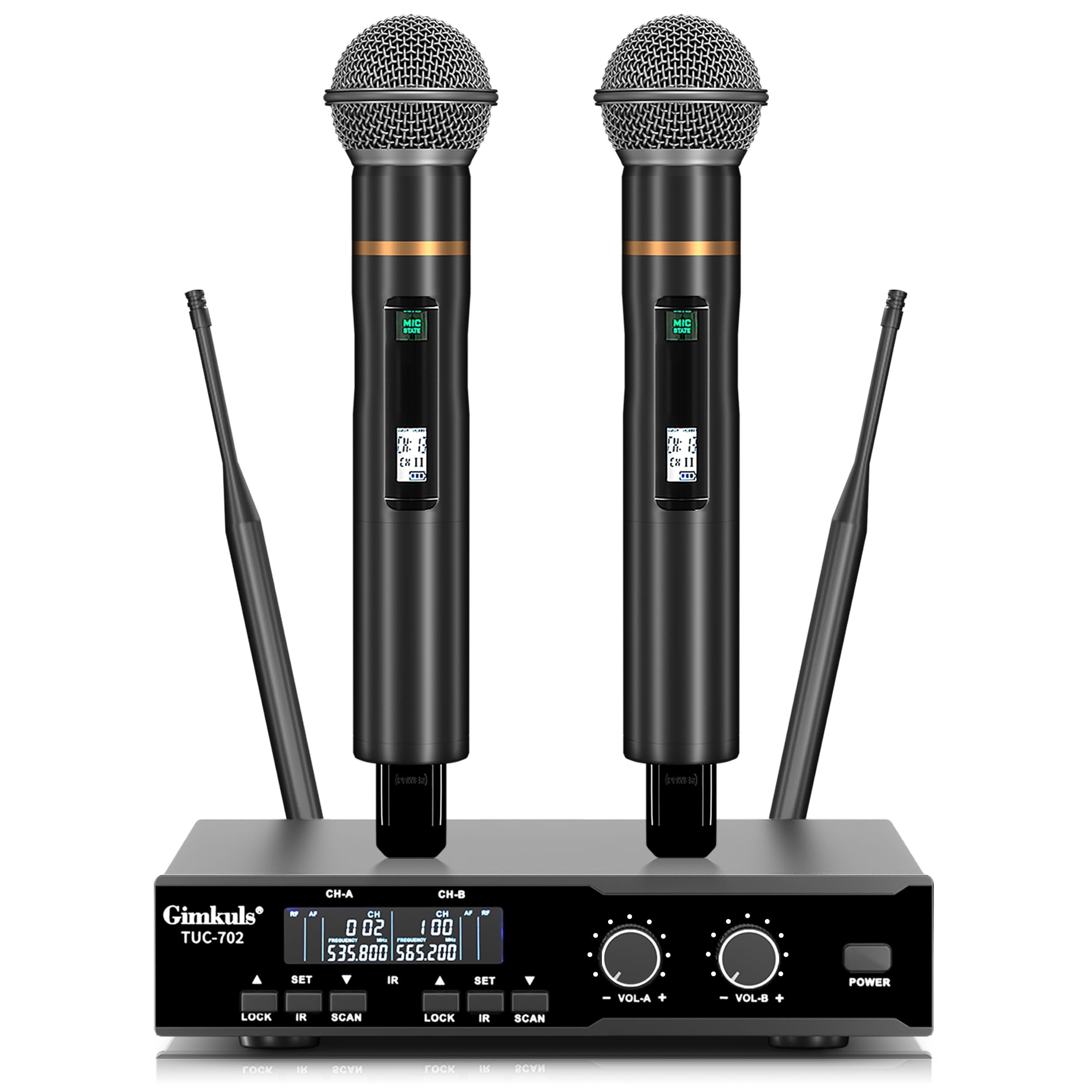Amazon.com: Gimkuls Wireless Professional Microphone System