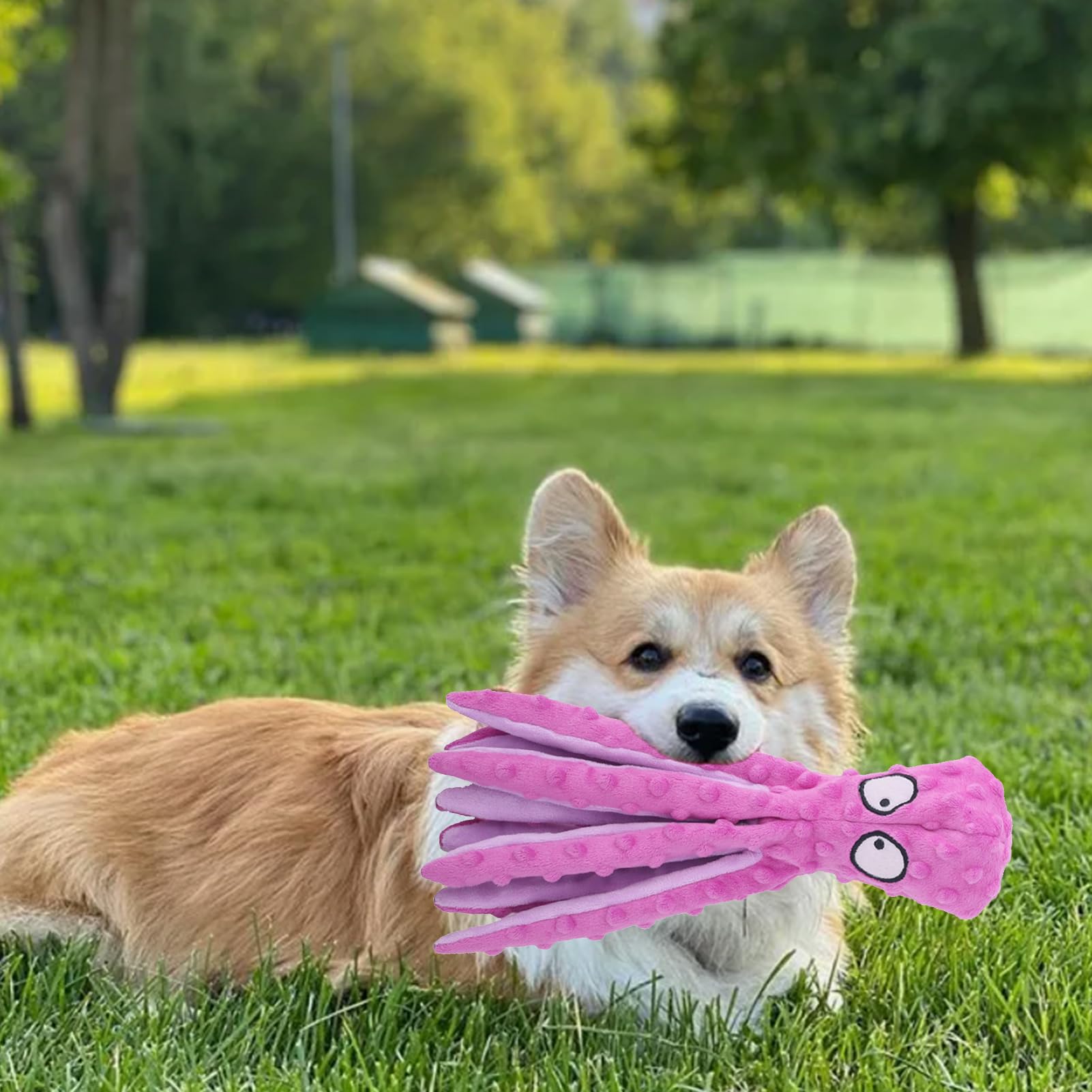 Giocattolo Per Cane Polpo In Peluche Con Suono – Addestra L'Attenzione E Riduce I Lattrati, Viola 32x8x10 Cm