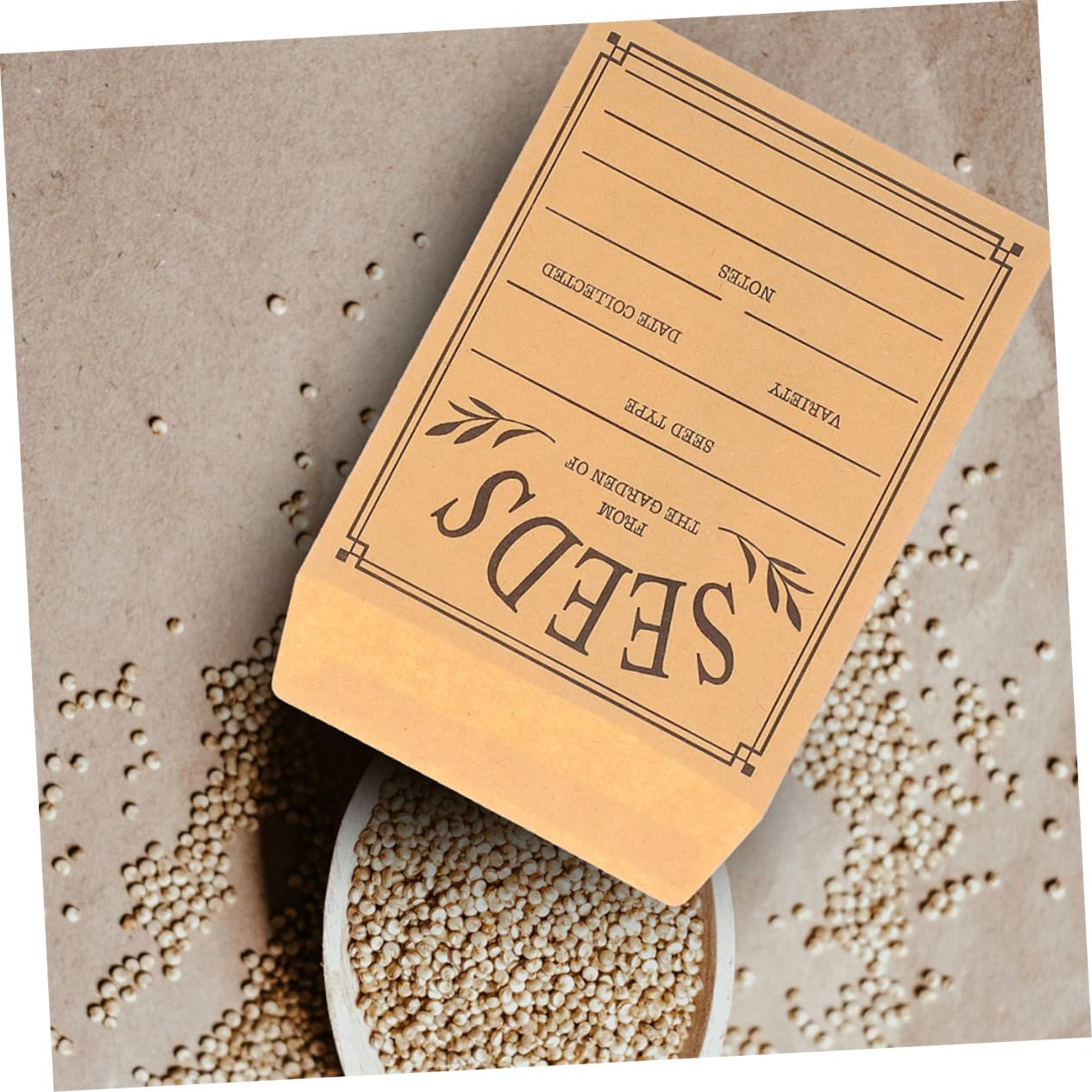 Wiederverwendbare Seed Münzumschläge aus Papier 100 Stück Khaki