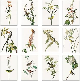 Berkin Arts 12 All Occasion Classic Art Greeting Cards Gift Cards Bundle with 12 Envelopes, 4x6 Inch Flower Floral Assorted Miscellaneous Designed, Thinking of You Cards Elegant for Friends