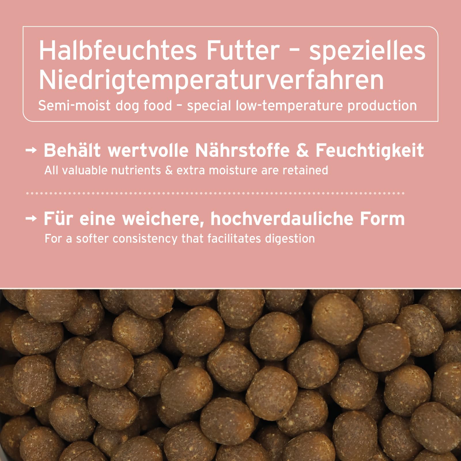 AniForte Lachs Trockenfutter für Hunde 12,5kg – Frischer Lachs mit Kartoffeln & Vitaminen, Halbfeuchtes Trockenfutter, Hundefutter trocken getreidefrei & glutenfrei für Allergiker