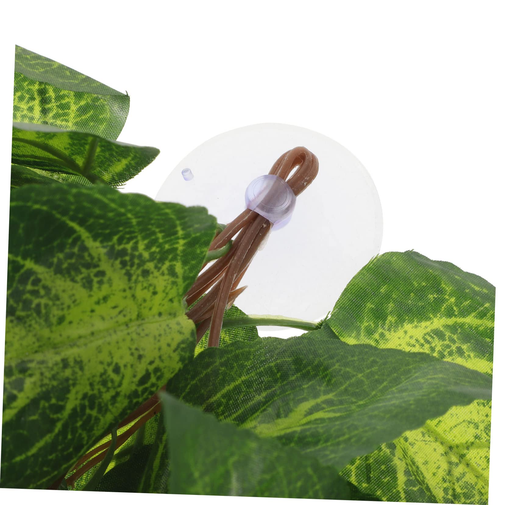 DOITOOL 5 Piezas Planta de simulación de Oruga decoración de vides Falsas contenedores de Vidrio Animal Plantas Artificiales Planta Falsa de Acuario Planta de pecera Hojas