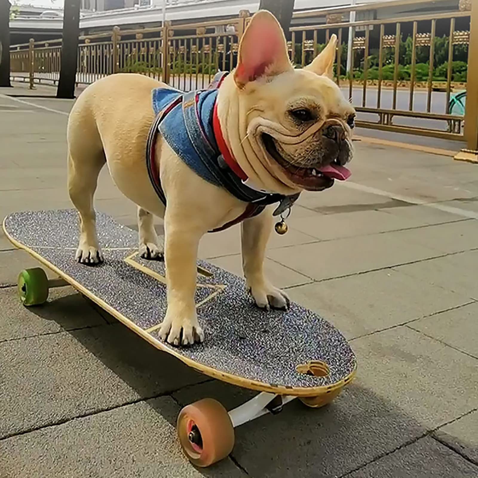 KIDDEX Hunde-Skateboard mit Surfständer, Haustier-Skateboard, Skateboard mit bunten PU-Rädern für Englisch-Französische Bulldogge, Starke Brettoberfläche, Schwerkrafthalterung 80x30cm