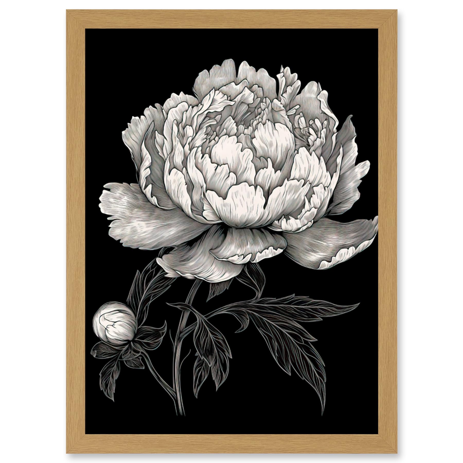 Artery8 A Peony Flower Bloom Black and White Blind Contour Artwork Framed Wall Art Print A4