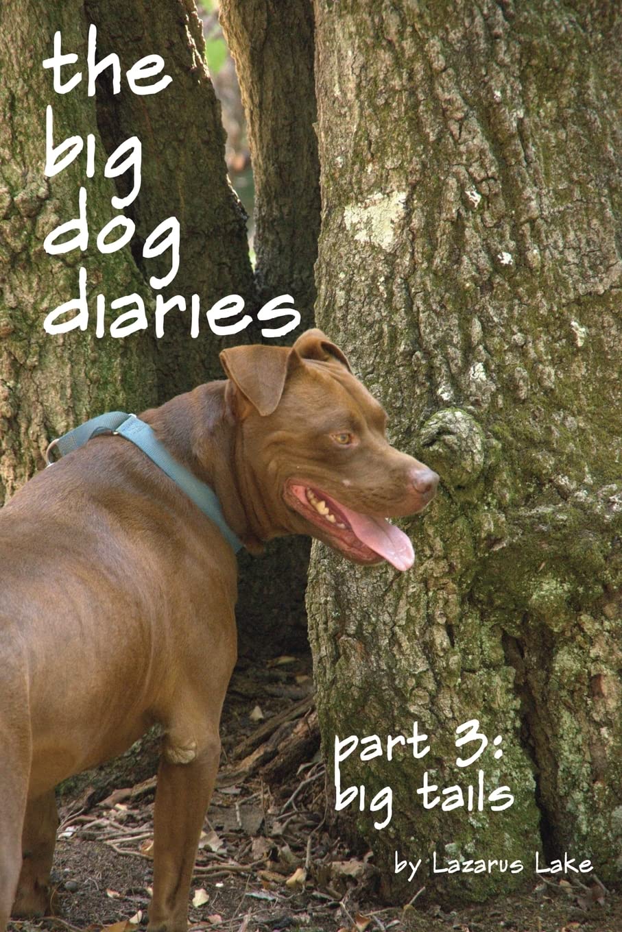 Big Tails: The Big Dog Diaries Part 3: Volume 3