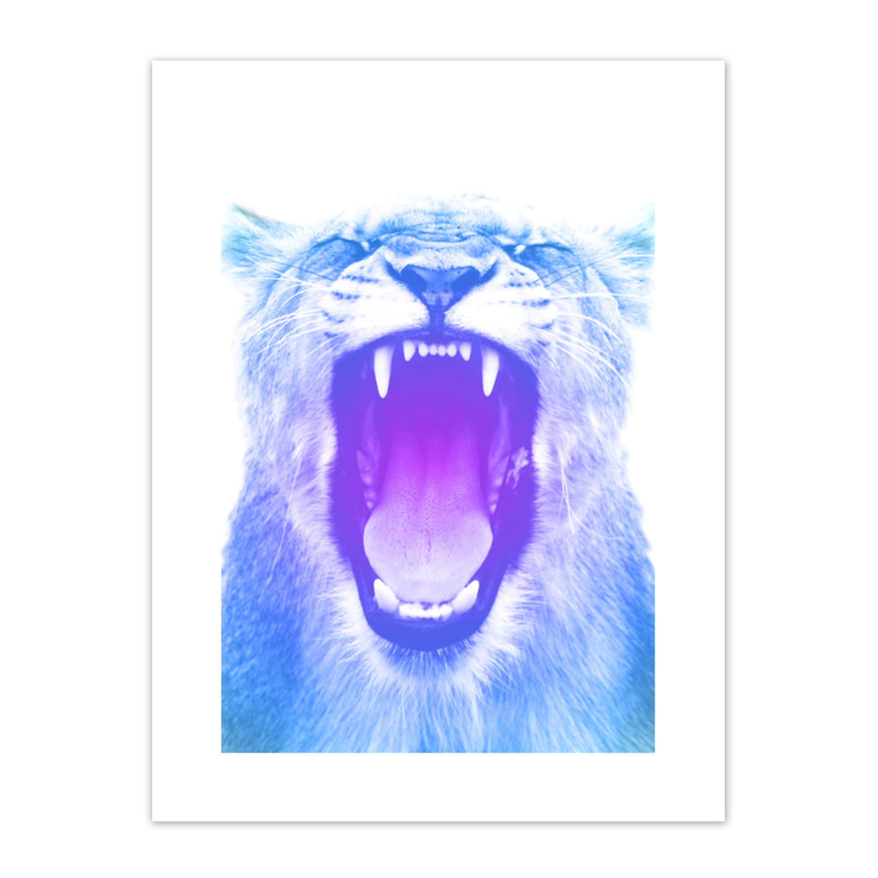 Wee Blue Coo Colourful Roar Lion Art Print Canvas Premium Wall Decor Poster