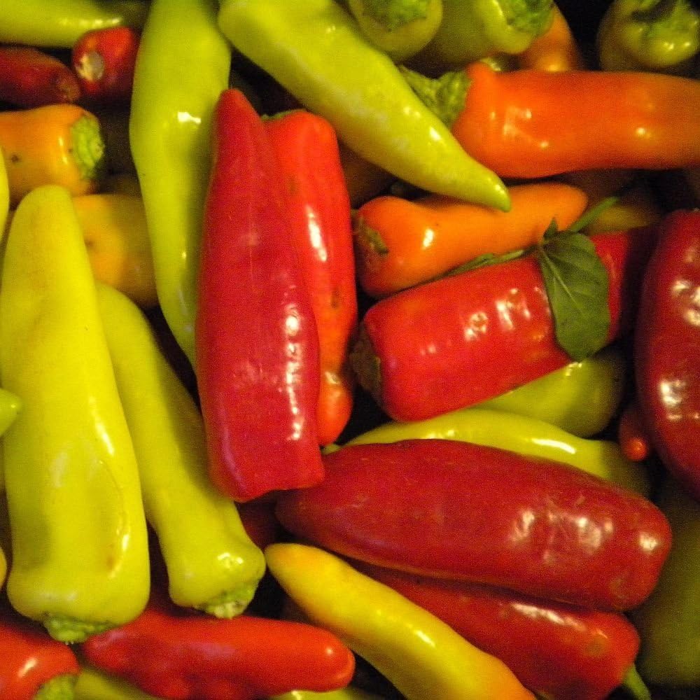 Hungarian wax pepper BULK Scoville seeds Patio, Lawn & Garden