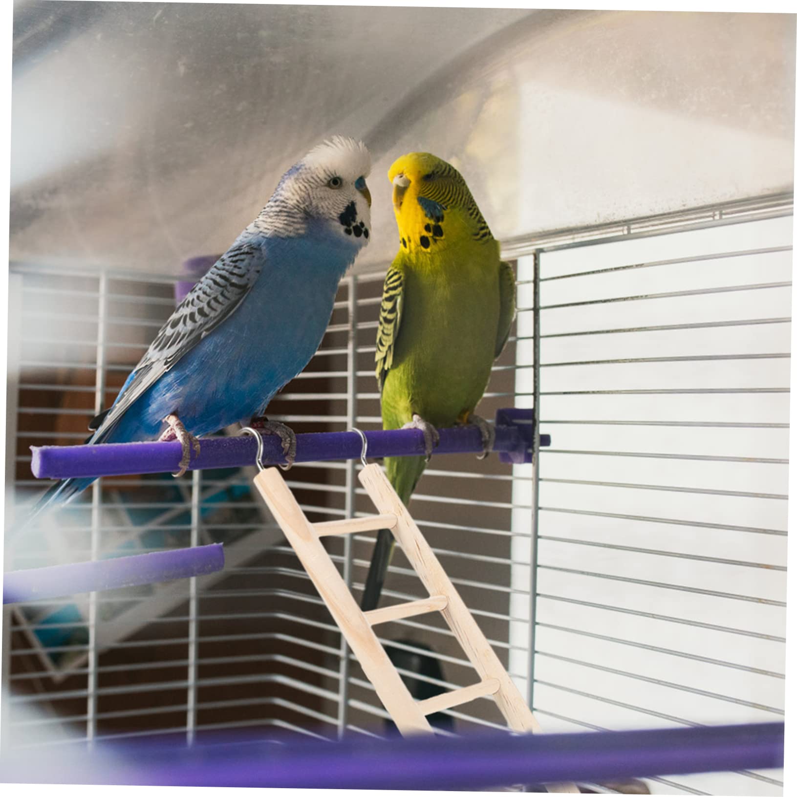 Toddmomy Parrot Cage Ladder Wooden Bird Ladder Toy for Climbing and Chewing Safe Bird Cage Accessories Enhance Pet Activity and Mental Stimulation 14.76X2.76X0.39In - Image 3