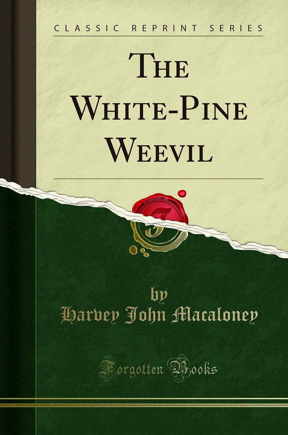 The White-Pine Weevil (Classic Reprint)