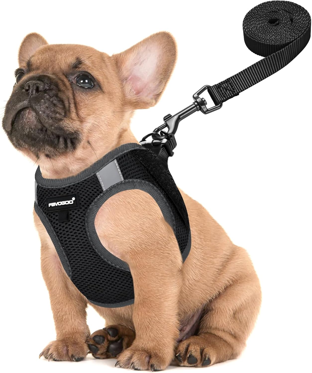 FAYOGOO Service Dog Vest for Small Breed - Lightweight Dog Harness with 6PCS Removable Patches - Puppy Harness and Leash Set for Walking,Training Black XS