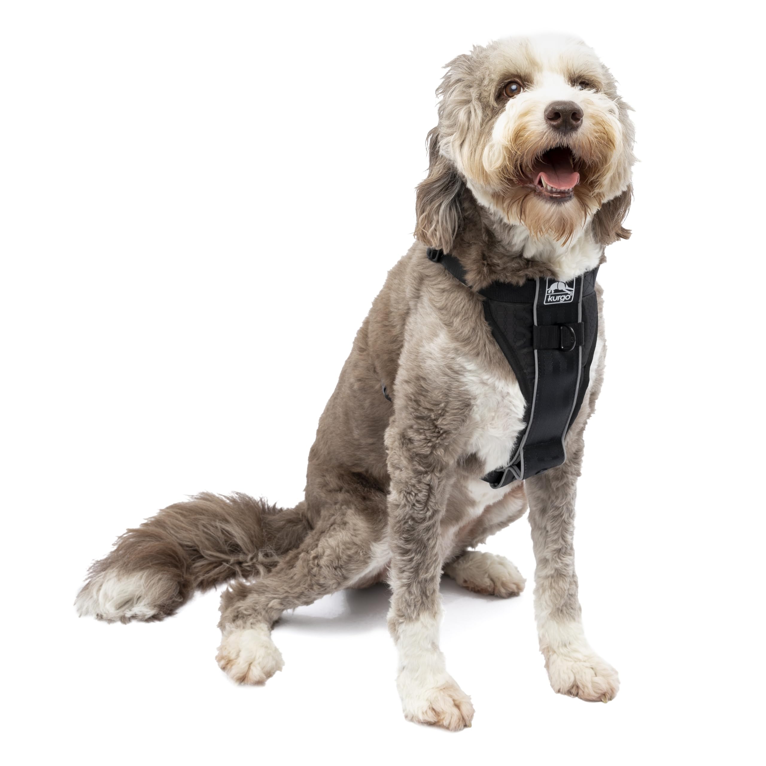 Kurgo Tru-Fit Smart Harness, Black, Large