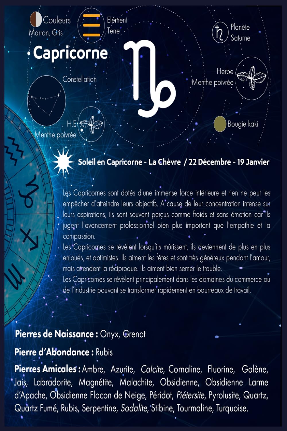 Soleil en Capricorne: Les pierres du Capricorne et ses rituels (Lithothérapie des signes solaires)