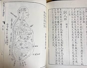 Amazon.co.jp: 倭漢三才図会 全16巻揃 新典社 寺島良安=著 古
